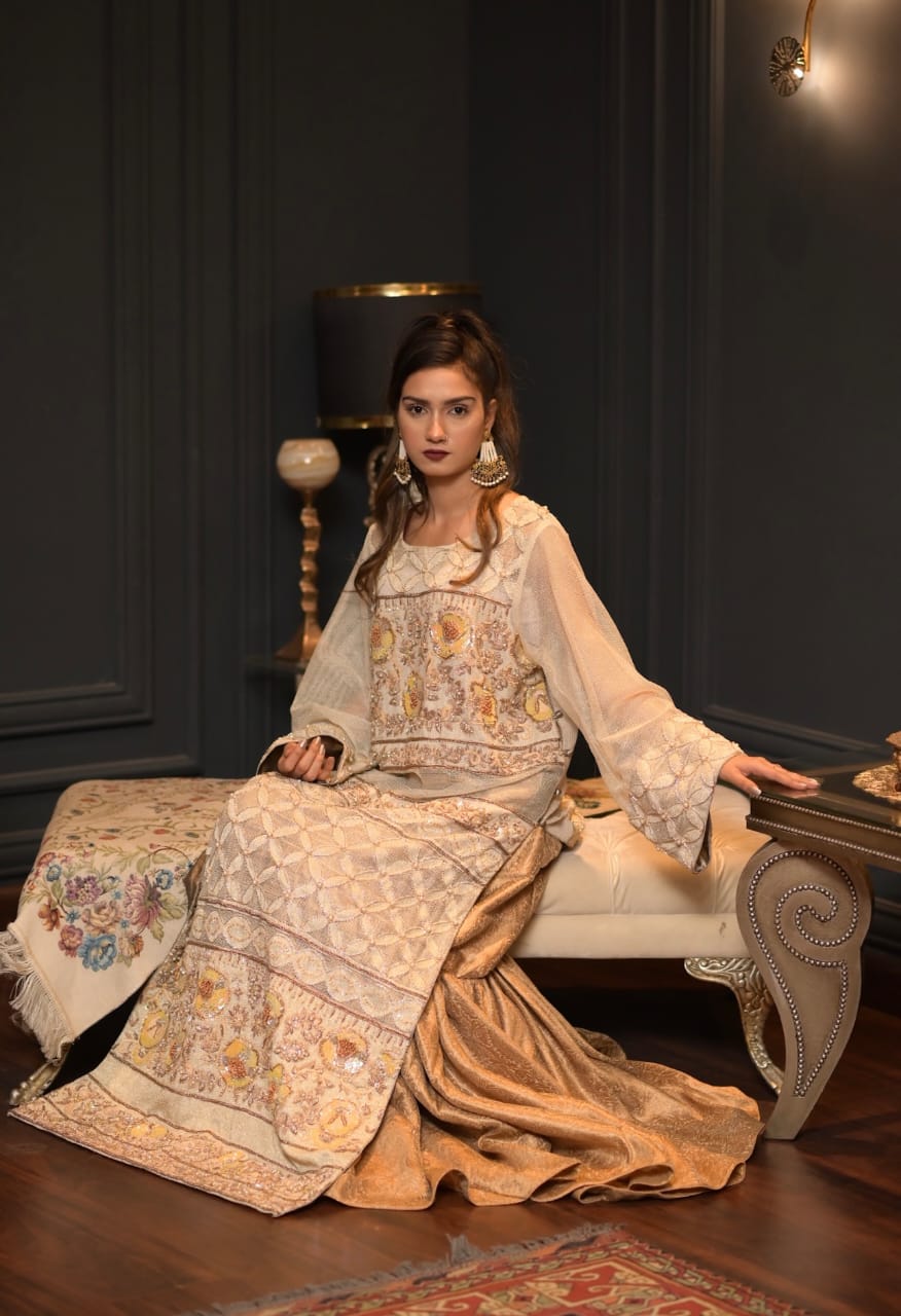 Pure Net Hand Embroidered Dress