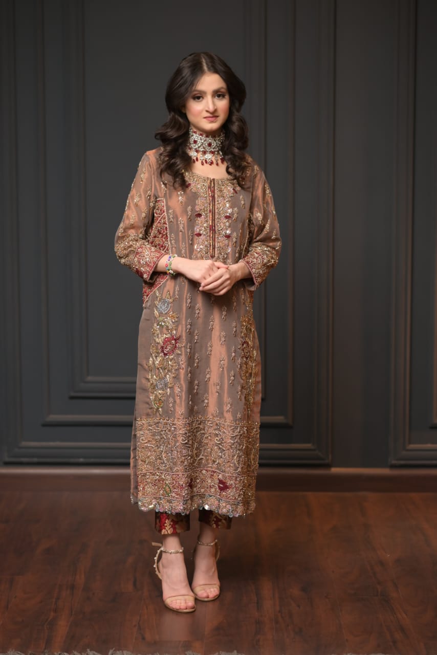Pure Tissue Solid Handwork Embroidered Luxury Dress